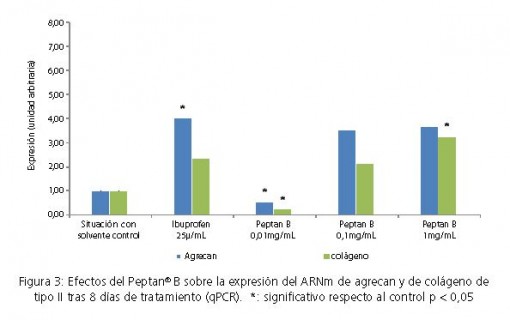 pepta-estudio-huesos