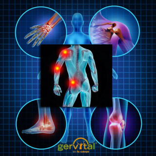 gerv_articulaciones copia