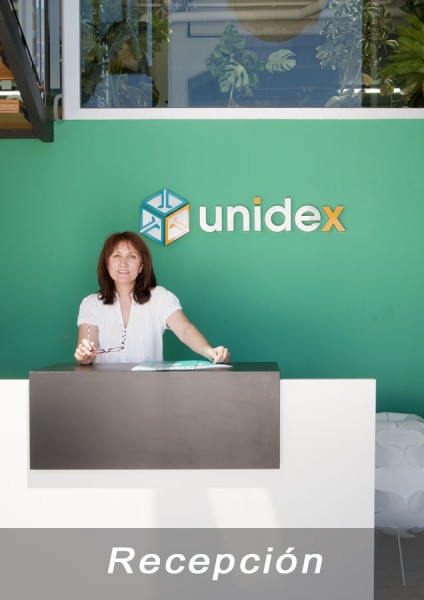 Unidex; 2013; instalacion